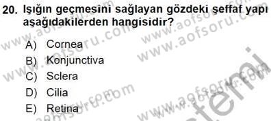 İnsan Anatomisi Ve Fizyolojisi Dersi 2015 - 2016 Yılı (Final) Dönem Sonu Sınavı 20. Soru