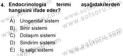 İnsan Anatomisi Ve Fizyolojisi Dersi 2015 - 2016 Yılı (Final) Dönem Sonu Sınavı 4. Soru