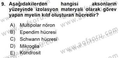 İnsan Anatomisi Ve Fizyolojisi Dersi 2015 - 2016 Yılı (Final) Dönem Sonu Sınavı 9. Soru