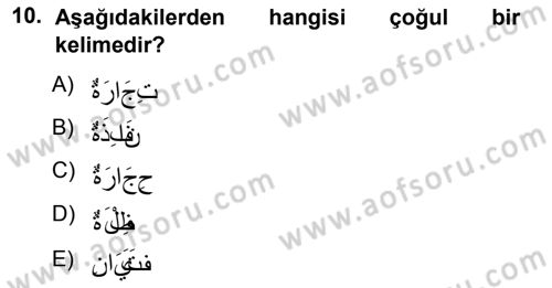 Arapça 1 Dersi Ara Sınavı Deneme Sınav Soruları 10. Soru