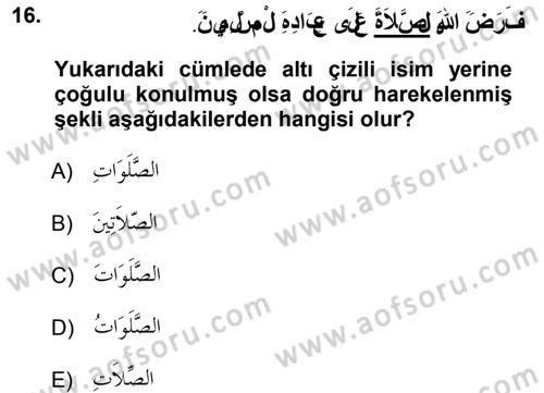 Arapça 1 Dersi 2012 - 2013 Yılı (Vize) Ara Sınavı 16. Soru