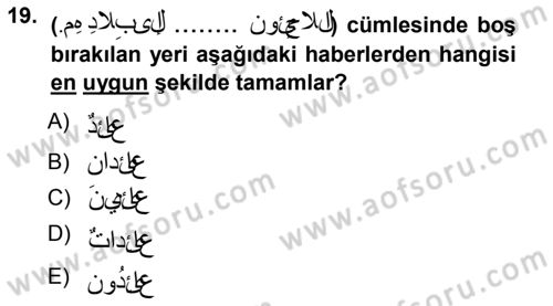 Arapça 1 Dersi Ara Sınavı Deneme Sınav Soruları 19. Soru
