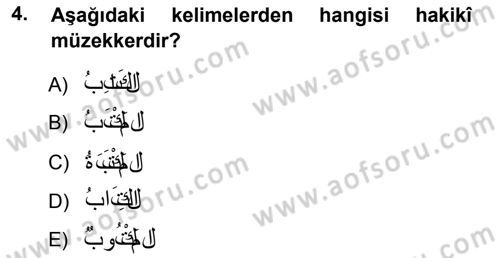 Arapça 1 Dersi Ara Sınavı Deneme Sınav Soruları 4. Soru