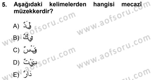 Arapça 1 Dersi Ara Sınavı Deneme Sınav Soruları 5. Soru