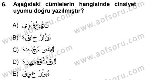 Arapça 1 Dersi Ara Sınavı Deneme Sınav Soruları 6. Soru