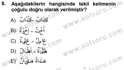 Arapça 1 Dersi Ara Sınavı Deneme Sınav Soruları 8. Soru