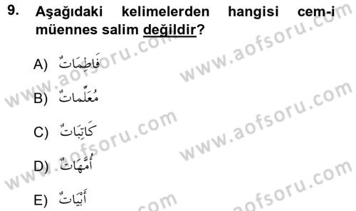 Arapça 1 Dersi Ara Sınavı Deneme Sınav Soruları 9. Soru