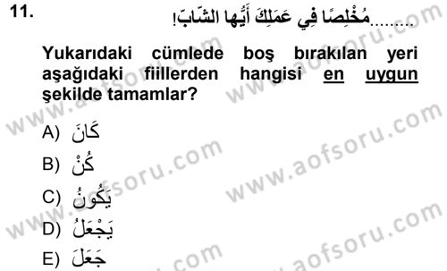 Arapça 1 Dersi 2012 - 2013 Yılı (Final) Dönem Sonu Sınav Soruları 11. Soru