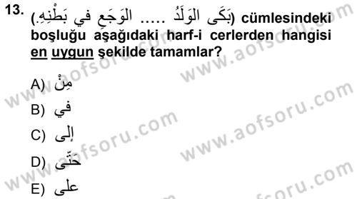 Arapça 1 Dersi 2012 - 2013 Yılı (Final) Dönem Sonu Sınav Soruları 13. Soru