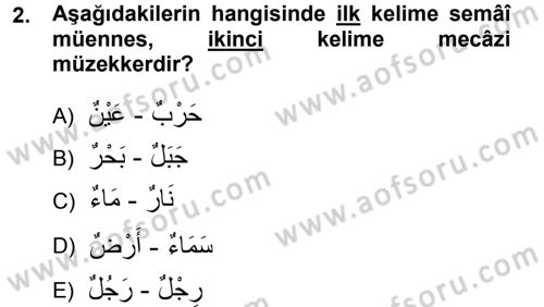 Arapça 1 Dersi 2012 - 2013 Yılı (Final) Dönem Sonu Sınav Soruları 2. Soru