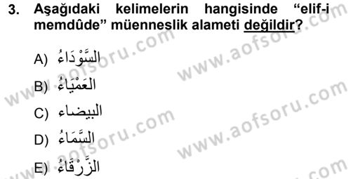 Arapça 1 Dersi 2012 - 2013 Yılı (Final) Dönem Sonu Sınav Soruları 3. Soru