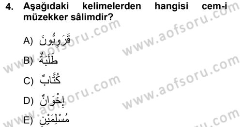 Arapça 1 Dersi 2012 - 2013 Yılı (Final) Dönem Sonu Sınav Soruları 4. Soru