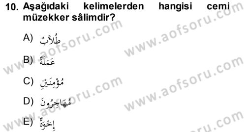 Arapça 1 Dersi 2013 - 2014 Yılı (Vize) Ara Sınav Soruları 10. Soru