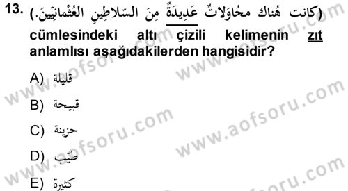 Arapça 1 Dersi 2013 - 2014 Yılı (Vize) Ara Sınav Soruları 13. Soru