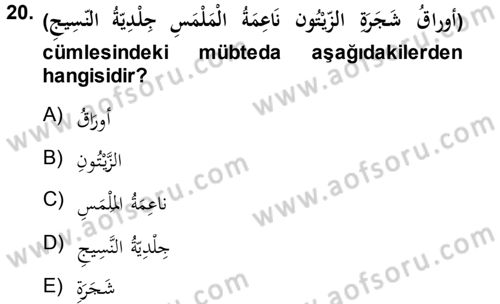 Arapça 1 Dersi Ara Sınavı Deneme Sınav Soruları 20. Soru