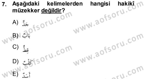 Arapça 1 Dersi Ara Sınavı Deneme Sınav Soruları 7. Soru
