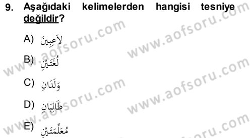 Arapça 1 Dersi Ara Sınavı Deneme Sınav Soruları 9. Soru