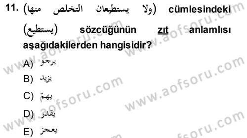 Arapça 1 Dersi 2013 - 2014 Yılı (Final) Dönem Sonu Sınav Soruları 11. Soru