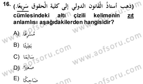 Arapça 1 Dersi 2013 - 2014 Yılı (Final) Dönem Sonu Sınav Soruları 16. Soru