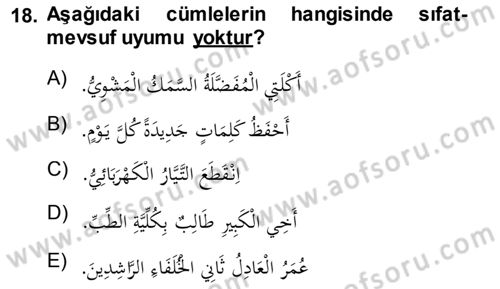 Arapça 1 Dersi 2013 - 2014 Yılı (Final) Dönem Sonu Sınav Soruları 18. Soru