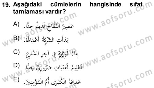 Arapça 1 Dersi 2013 - 2014 Yılı (Final) Dönem Sonu Sınav Soruları 19. Soru