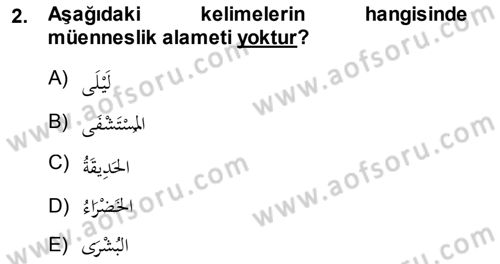 Arapça 1 Dersi 2013 - 2014 Yılı (Final) Dönem Sonu Sınav Soruları 2. Soru