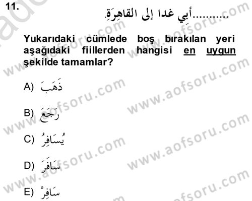 Arapça 1 Dersi 2013 - 2014 Yılı Tek Ders Sınav Soruları 11. Soru