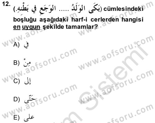 Arapça 1 Dersi 2013 - 2014 Yılı Tek Ders Sınav Soruları 12. Soru