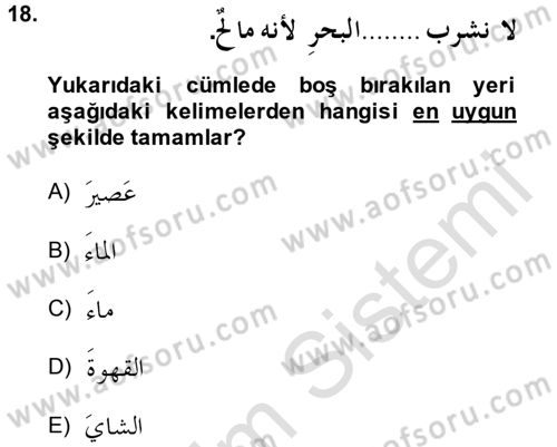Arapça 1 Dersi 2013 - 2014 Yılı Tek Ders Sınavı 18. Soru