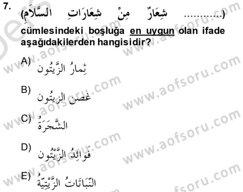 Arapça 1 Dersi 2013 - 2014 Yılı Tek Ders Sınav Soruları 7. Soru