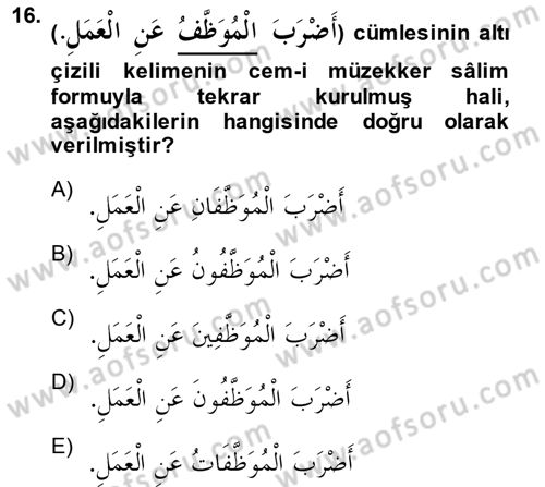Arapça 1 Dersi 2014 - 2015 Yılı (Vize) Ara Sınavı 16. Soru