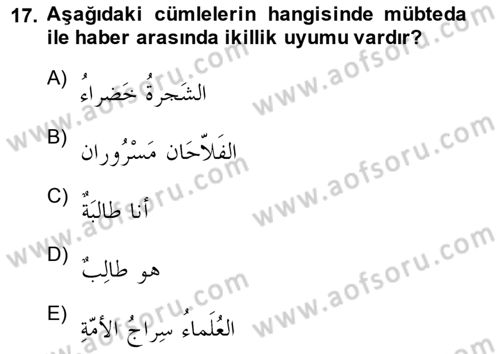 Arapça 1 Dersi Ara Sınavı Deneme Sınav Soruları 17. Soru