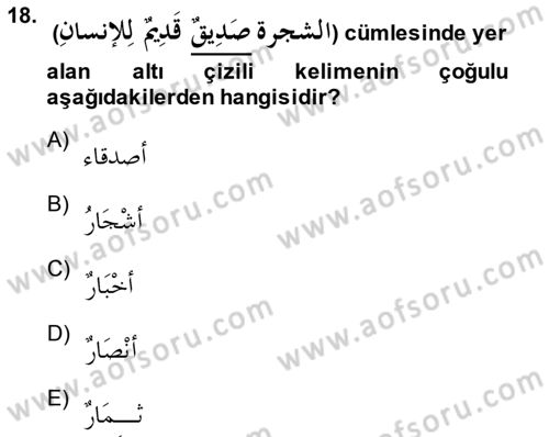 Arapça 1 Dersi Ara Sınavı Deneme Sınav Soruları 18. Soru