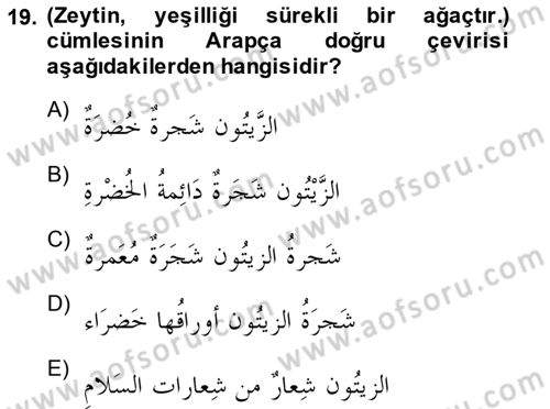 Arapça 1 Dersi 2014 - 2015 Yılı (Vize) Ara Sınav Soruları 19. Soru