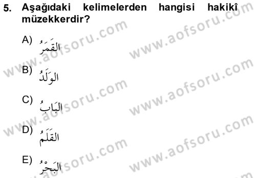 Arapça 1 Dersi Ara Sınavı Deneme Sınav Soruları 5. Soru