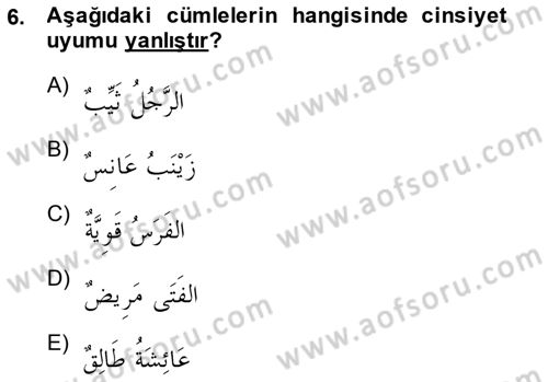 Arapça 1 Dersi 2014 - 2015 Yılı (Vize) Ara Sınav Soruları 6. Soru