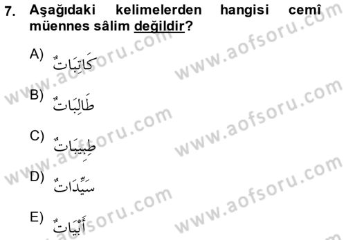 Arapça 1 Dersi Ara Sınavı Deneme Sınav Soruları 7. Soru