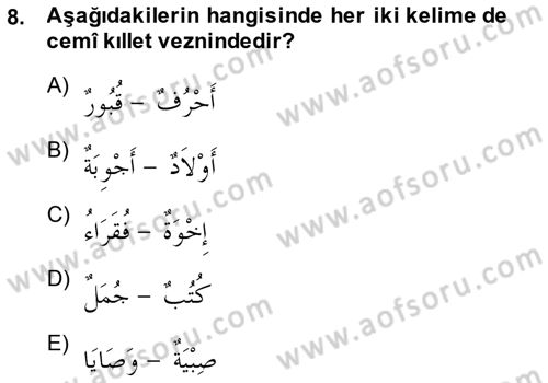 Arapça 1 Dersi Ara Sınavı Deneme Sınav Soruları 8. Soru