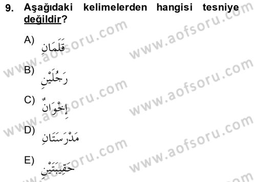 Arapça 1 Dersi Ara Sınavı Deneme Sınav Soruları 9. Soru