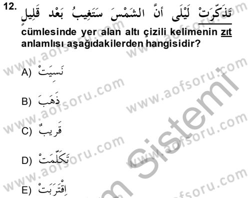 Arapça 1 Dersi 2014 - 2015 Yılı (Final) Dönem Sonu Sınavı 12. Soru