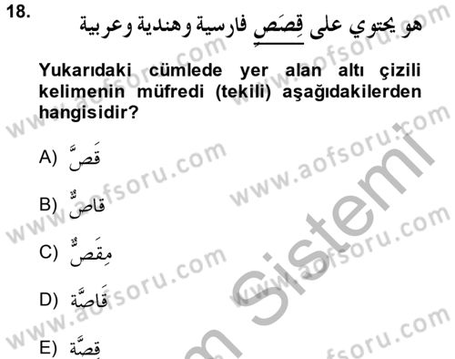 Arapça 1 Dersi 2014 - 2015 Yılı (Final) Dönem Sonu Sınavı 18. Soru