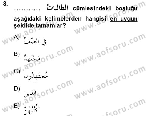 Arapça 1 Dersi 2014 - 2015 Yılı (Final) Dönem Sonu Sınav Soruları 8. Soru