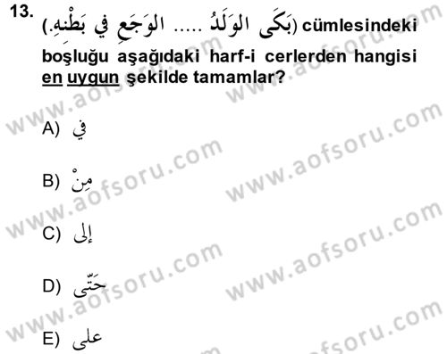 Arapça 1 Dersi 2014 - 2015 Yılı Tek Ders Sınav Soruları 13. Soru