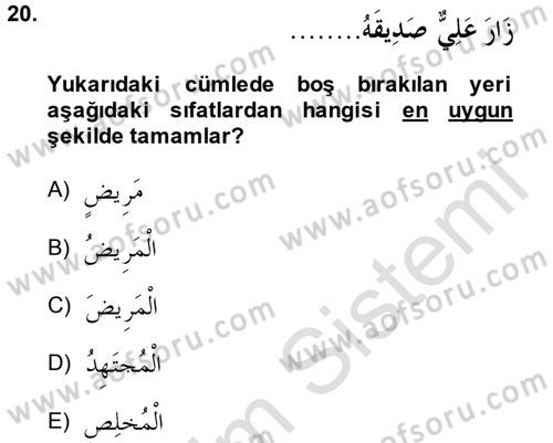Arapça 1 Dersi 2014 - 2015 Yılı Tek Ders Sınav Soruları 20. Soru