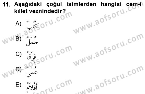 Arapça 1 Dersi Ara Sınavı Deneme Sınav Soruları 11. Soru