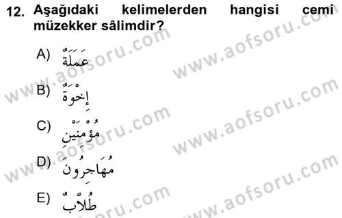 Arapça 1 Dersi 2015 - 2016 Yılı (Vize) Ara Sınav Soruları 12. Soru