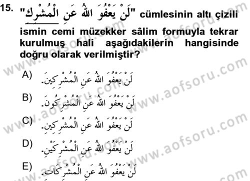 Arapça 1 Dersi 2015 - 2016 Yılı (Vize) Ara Sınavı 15. Soru