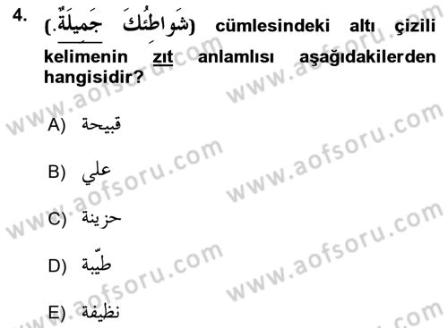 Arapça 1 Dersi Ara Sınavı Deneme Sınav Soruları 4. Soru