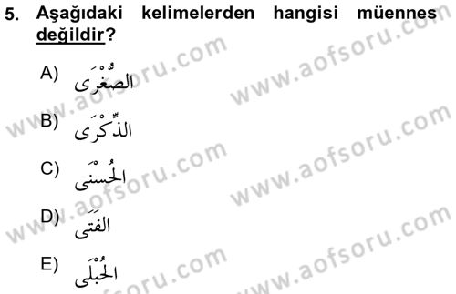 Arapça 1 Dersi Ara Sınavı Deneme Sınav Soruları 5. Soru