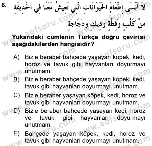 Arapça 1 Dersi Ara Sınavı Deneme Sınav Soruları 6. Soru
